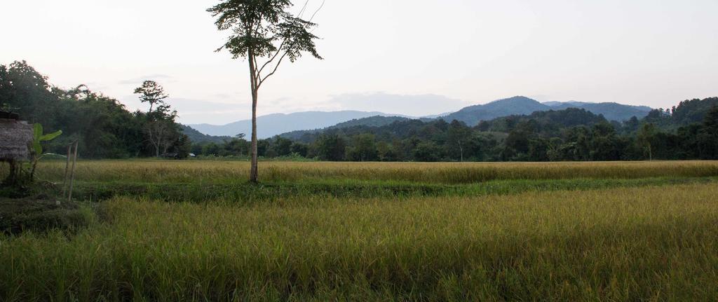 Bambuh Boutique Homestay Чианграй Экстерьер фото