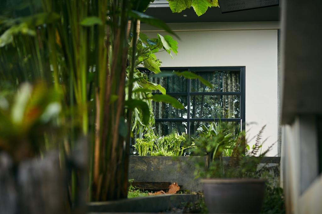 Bambuh Boutique Homestay Чианграй Экстерьер фото
